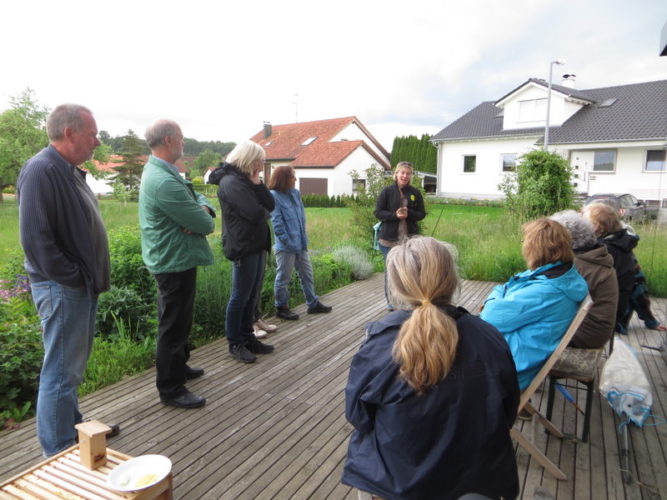 Gartengespräche: Bienen und Wildbienen - was kann ich in meinem Garten tun