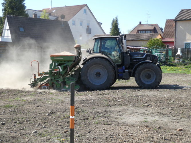 Heuer blüht das Metzgergässle!